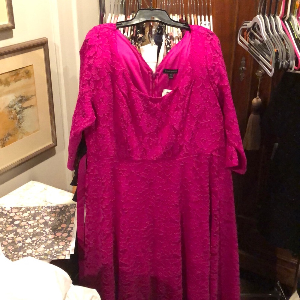 Lane Bryant Hot Pink Lace A-line dress